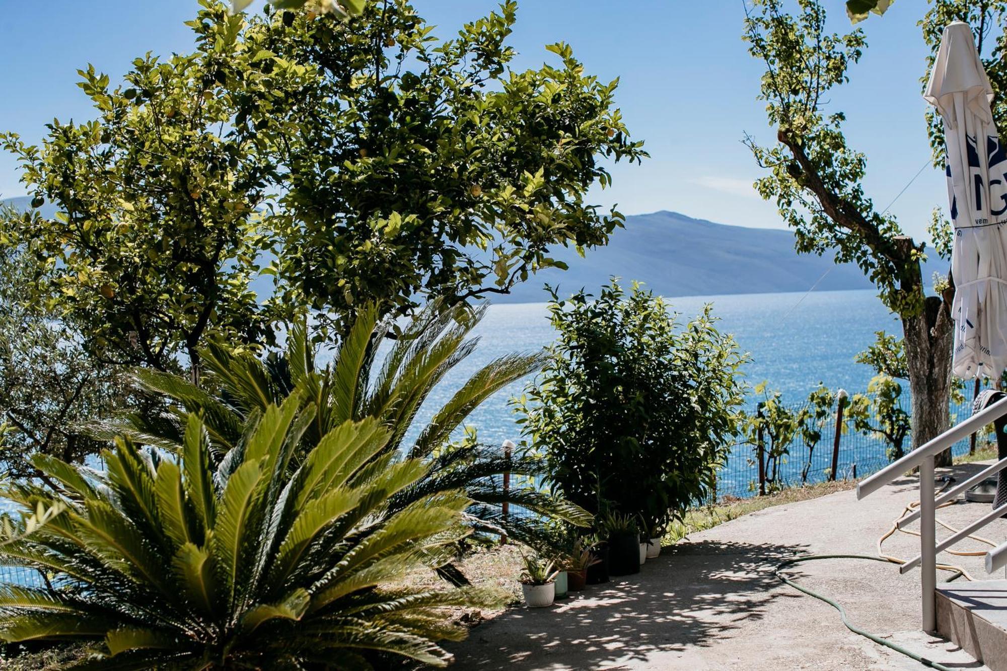 Villa Del Mar Kanine エクステリア 写真